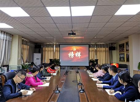 向榜樣看齊，做合格黨員